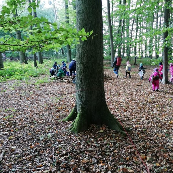 Waldlager – Kindertagesstätte Sophienstift Lübz