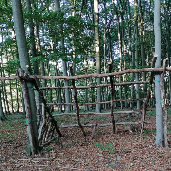 Bauwerke im Wald – Kindertagesstätte Sophienstift Lübz
