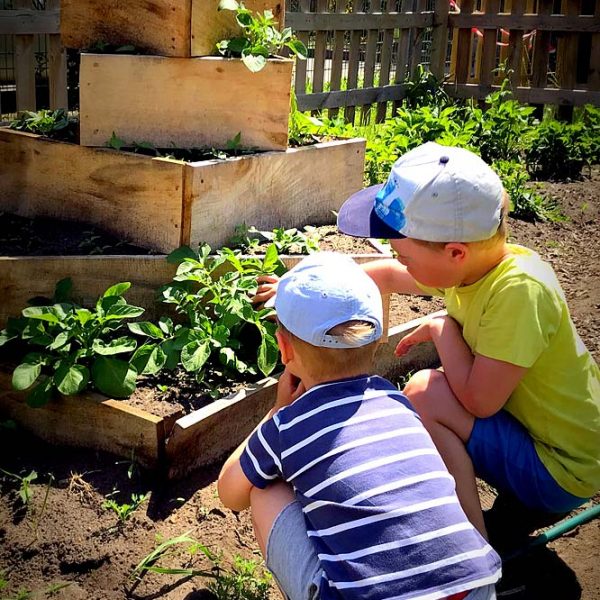 Kindertagesstätte Arche Noah Parchim