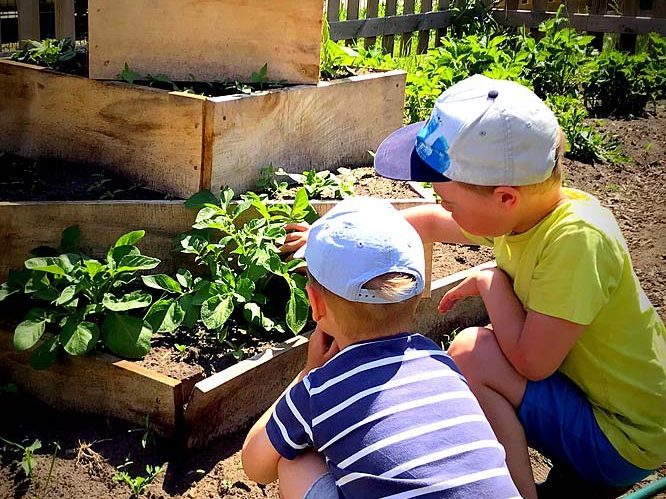 Kindertagesstätte Arche Noah Parchim