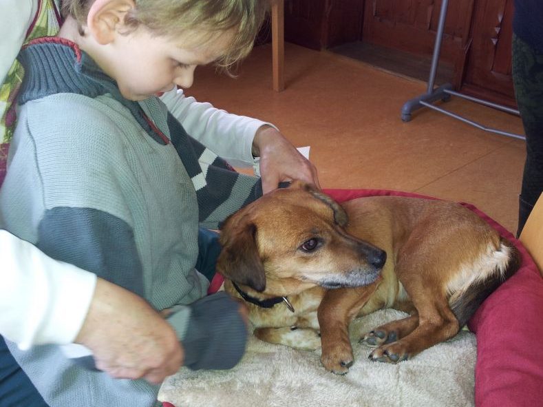 Förderschule mit dem Schwerpunkt geistiger Entwicklung Dobbertin