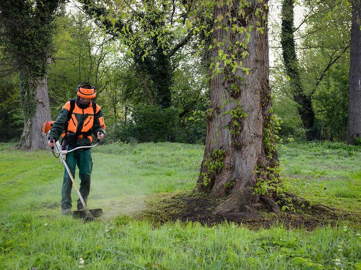 Arbeitsbereich Landschaftspflege