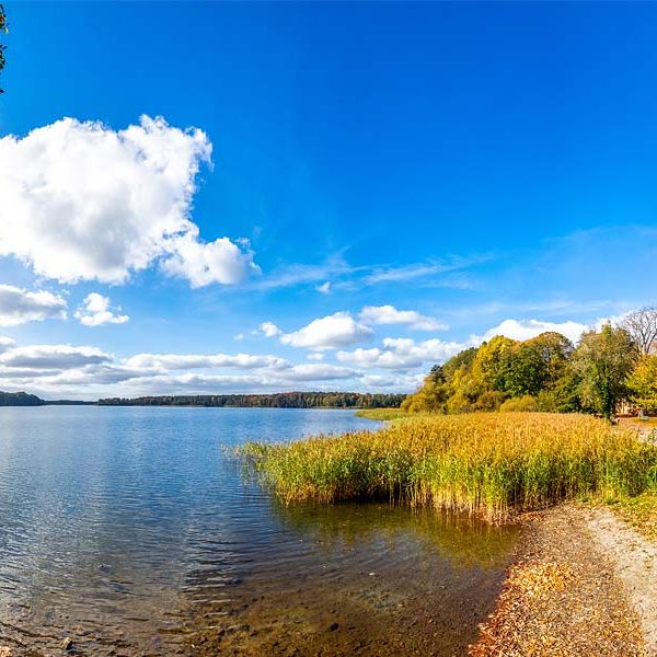 Kloster Dobbertin - Historisches und Sehenswertes
