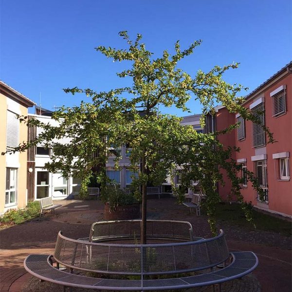 Haus am Goldberger See