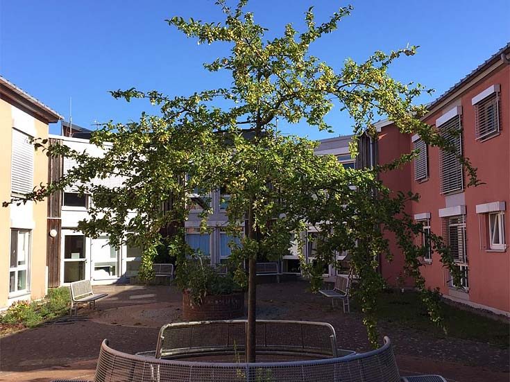 Haus am Goldberger See