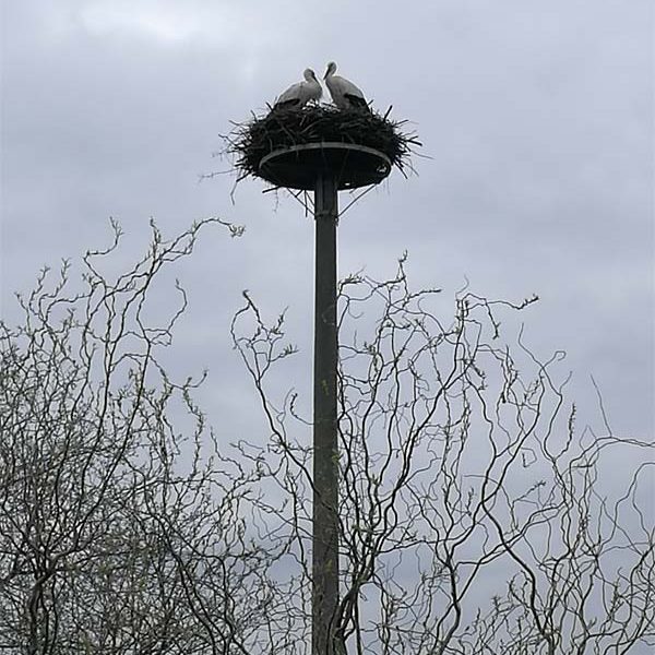 Psychosoziale Wohngruppe Dömitz