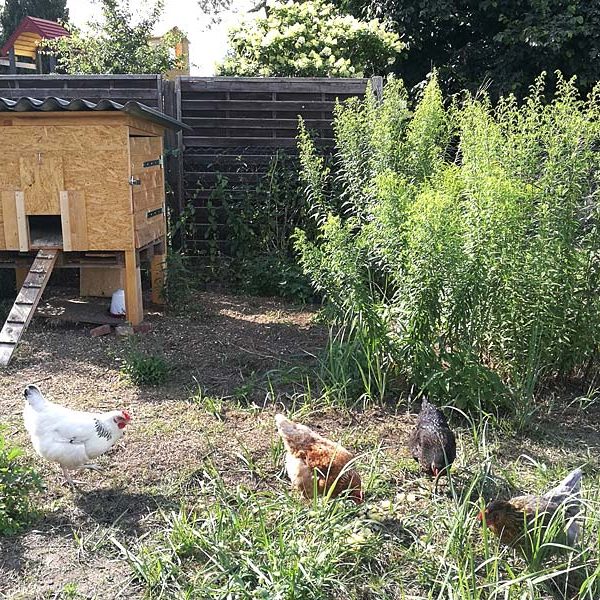 Psychosoziale Wohngruppe Dömitz