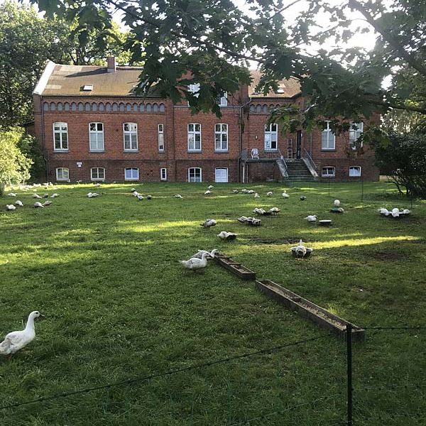 Wohnheim Fliederhof Dessin