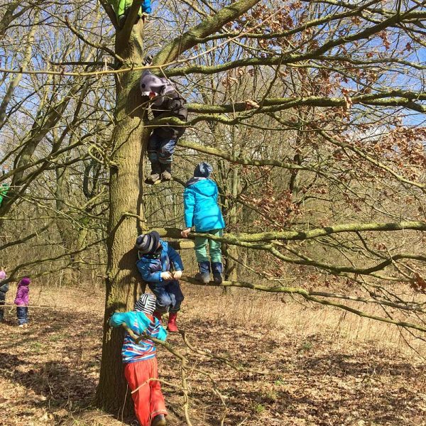 Kindertagesstätte Zwergenparadies Plau
