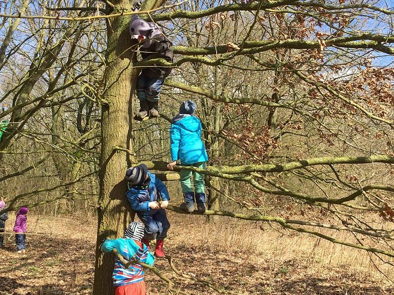 Kindertagesstätte Zwergenparadies Plau