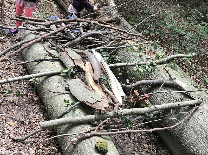 Kindertagesstätte Zwergenparadies Plau