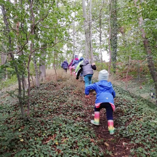 Kindertagesstätte Zwergenparadies Plau