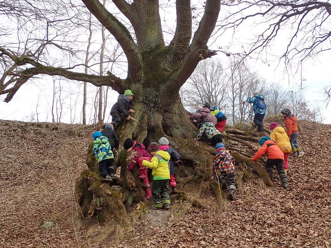 Kindertagesstätte Zwergenparadies Plau