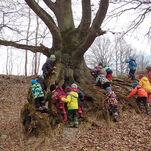 Kindertagesstätte Zwergenparadies Plau