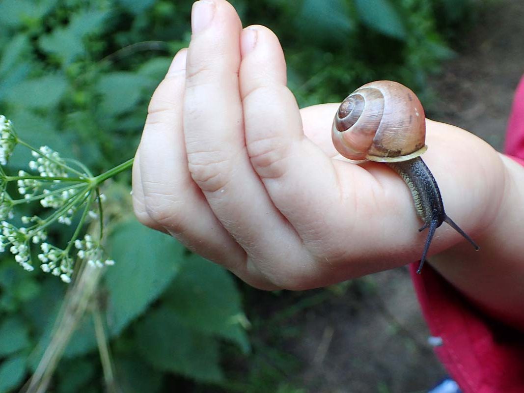 Kindertagesstätte Zwergenparadies Plau