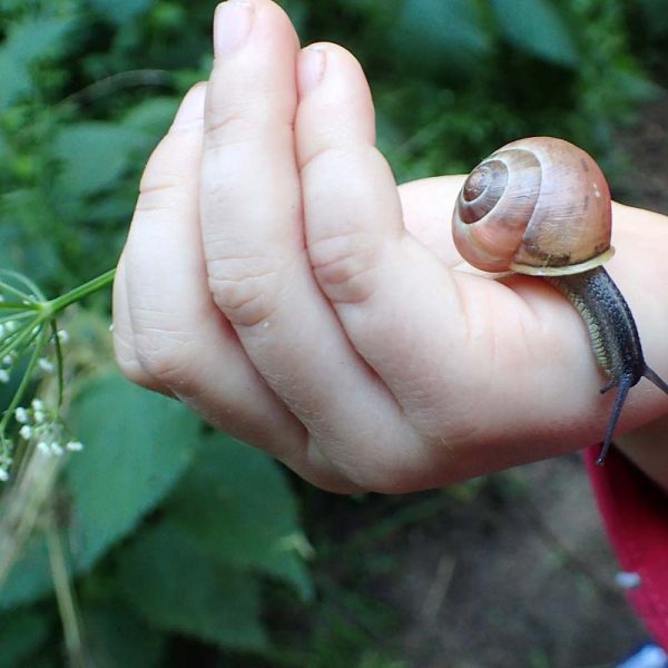 Kindertagesstätte Zwergenparadies Plau