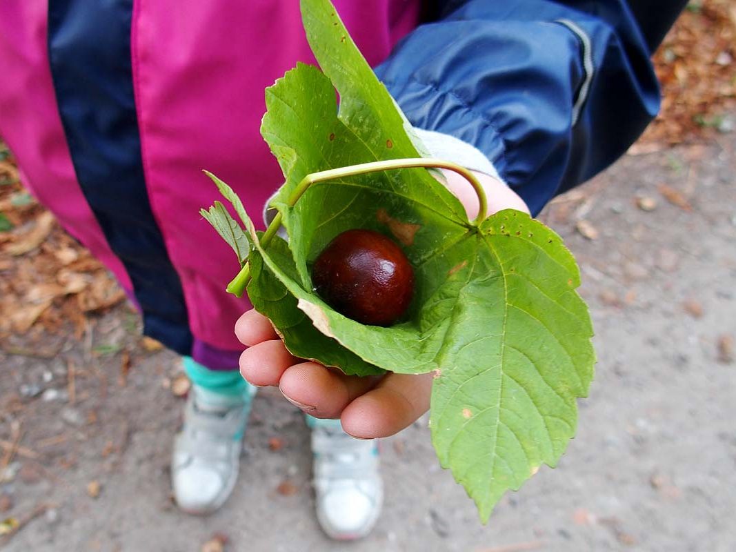 Kindertagesstätte Zwergenparadies Plau