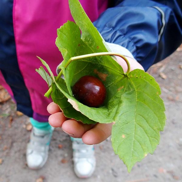 Kindertagesstätte Zwergenparadies Plau