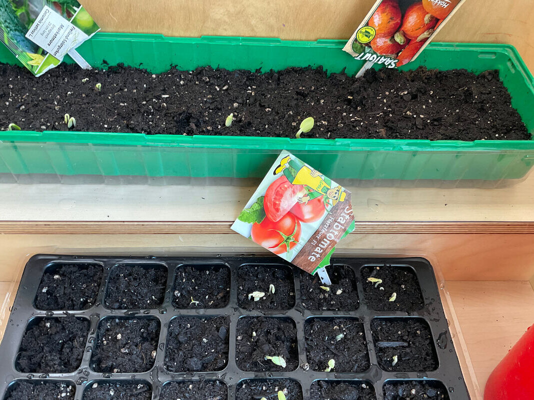 Kindertagesstätte am Klosterpark