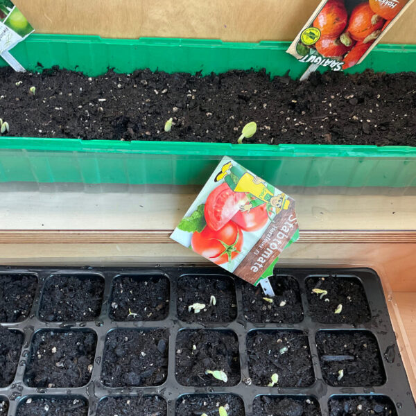 Kindertagesstätte am Klosterpark