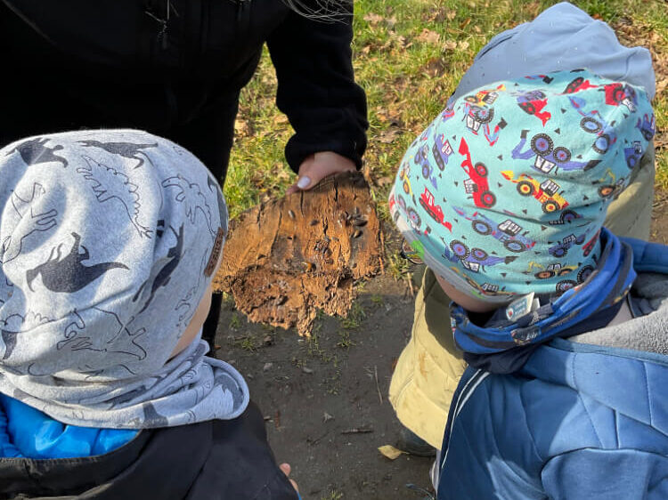 Kindertagesstätte am Klosterpark