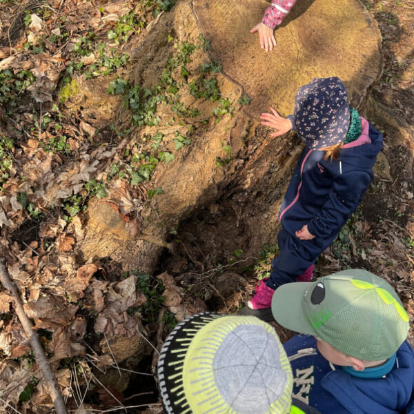 Kindertagesstätte am Klosterpark