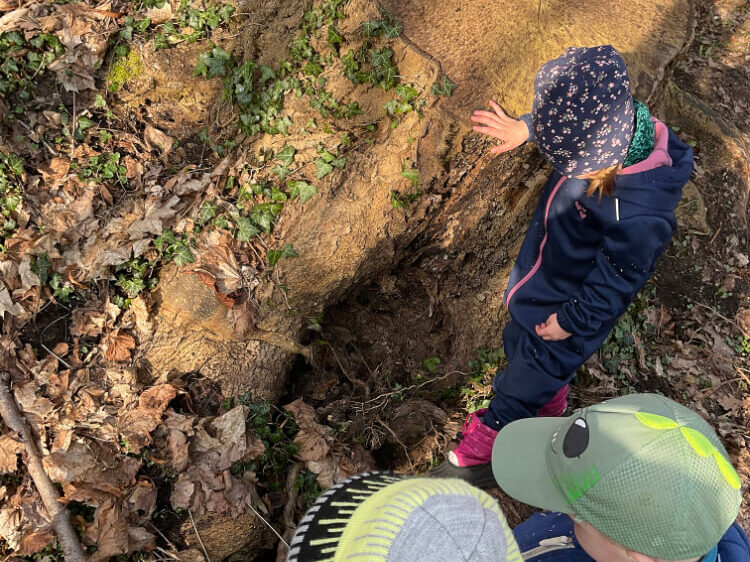 Kindertagesstätte am Klosterpark